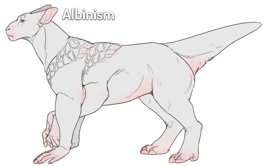 Albinism