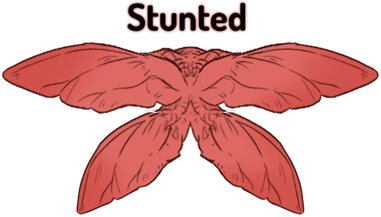 Stunted Wings